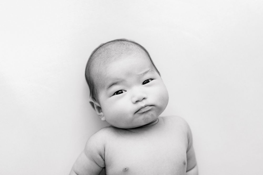 Newborn Photos in Porirua
