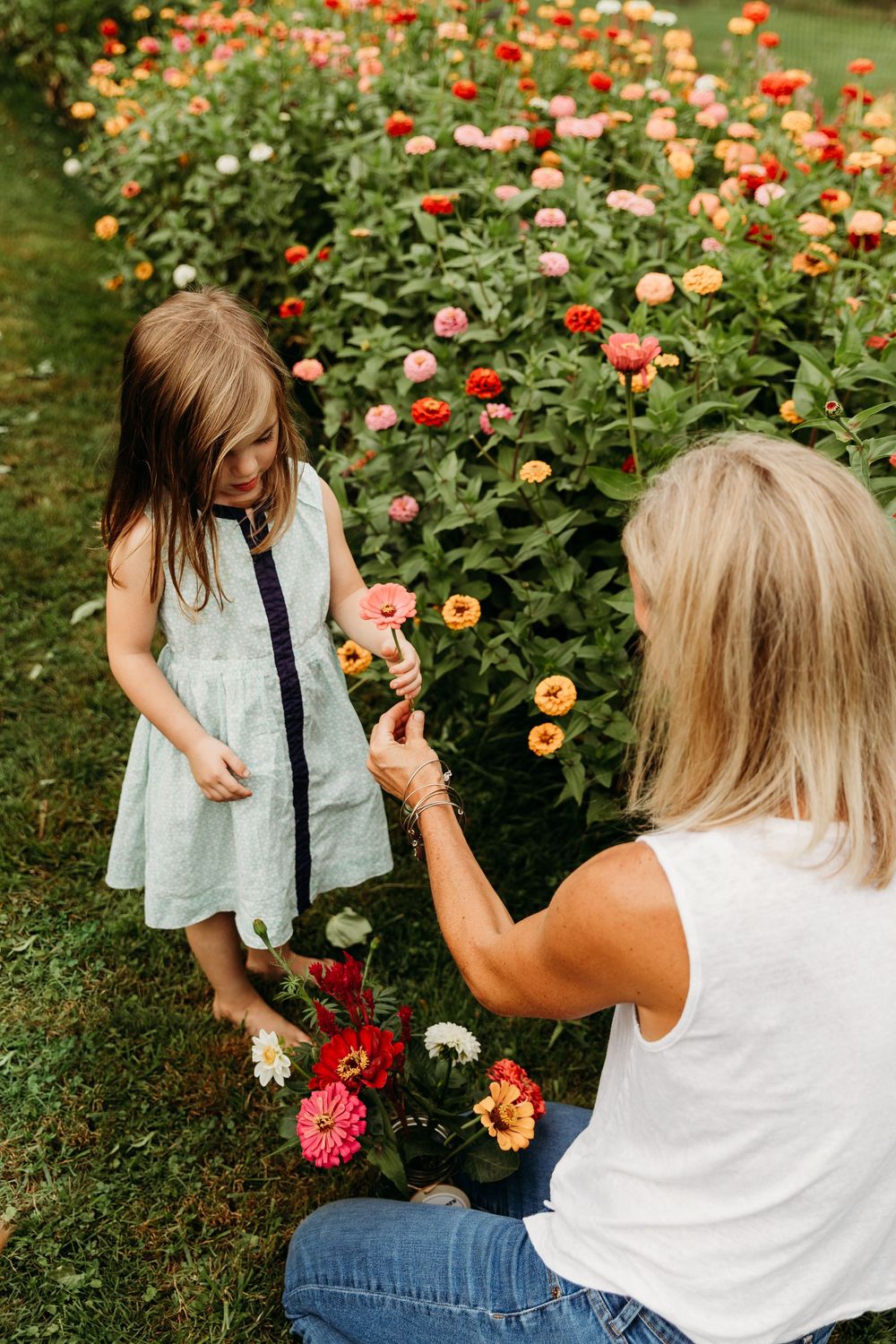 Candid moments captured in a flower garden as people admire blooming zinnias.