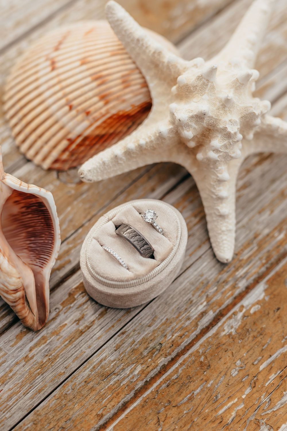 Seashells and starfish laid out on rustic wooden planks with a small decorative box in a beachy arrangement.