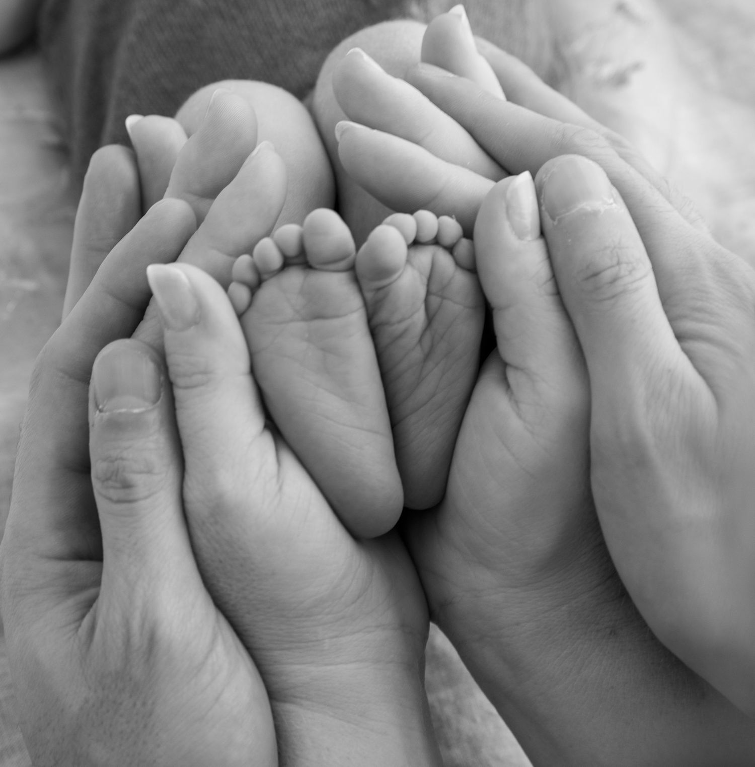 Black and white close-up of tiny baby feet cradled in adult hands.
