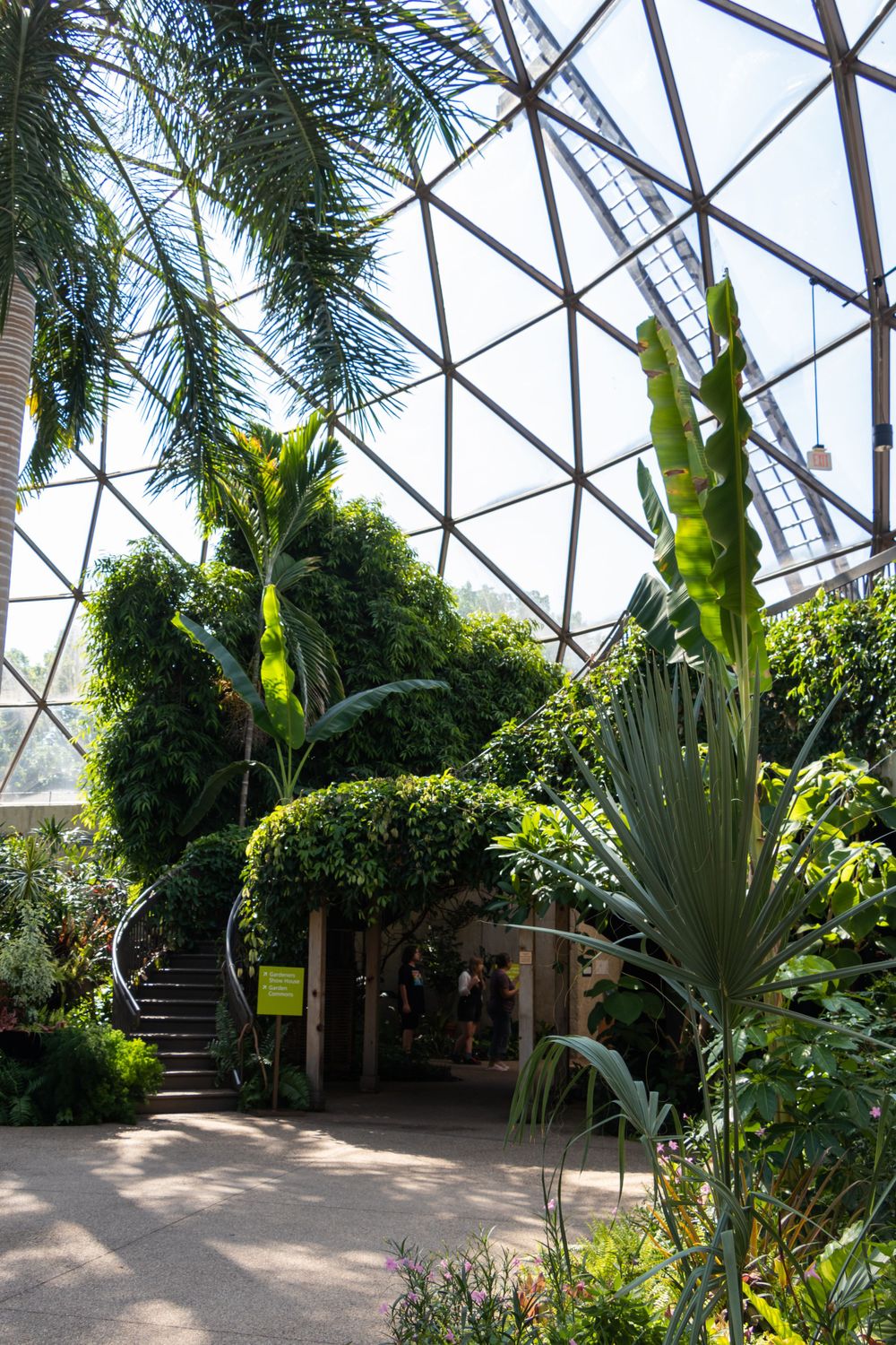 Interior view of a tropical greenhouse with palm trees and a curved staircase under a geometric glass dome ceiling.