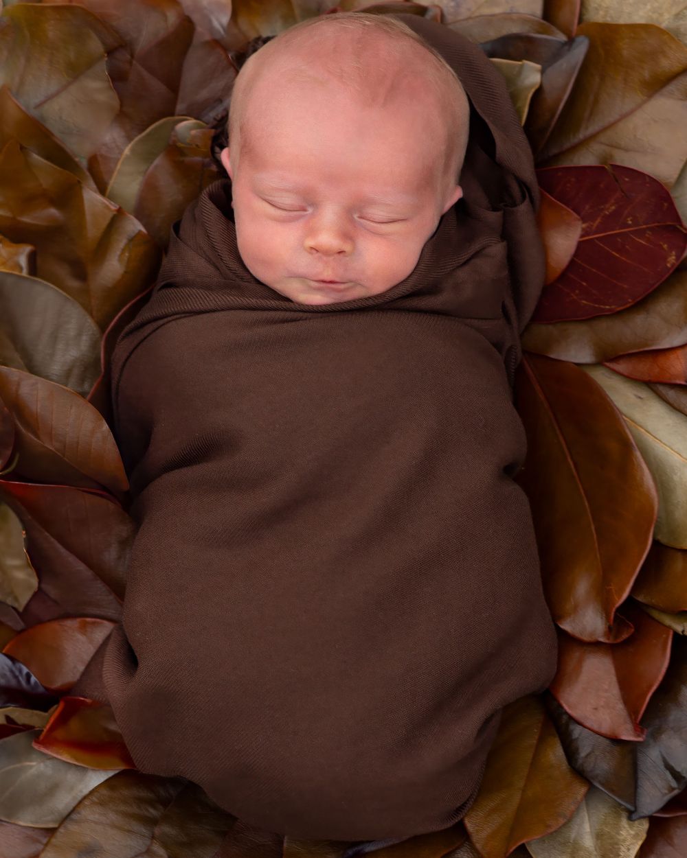 A sleeping baby swaddled in brown cloth rests peacefully on autumn leaves creating a cozy fall scene