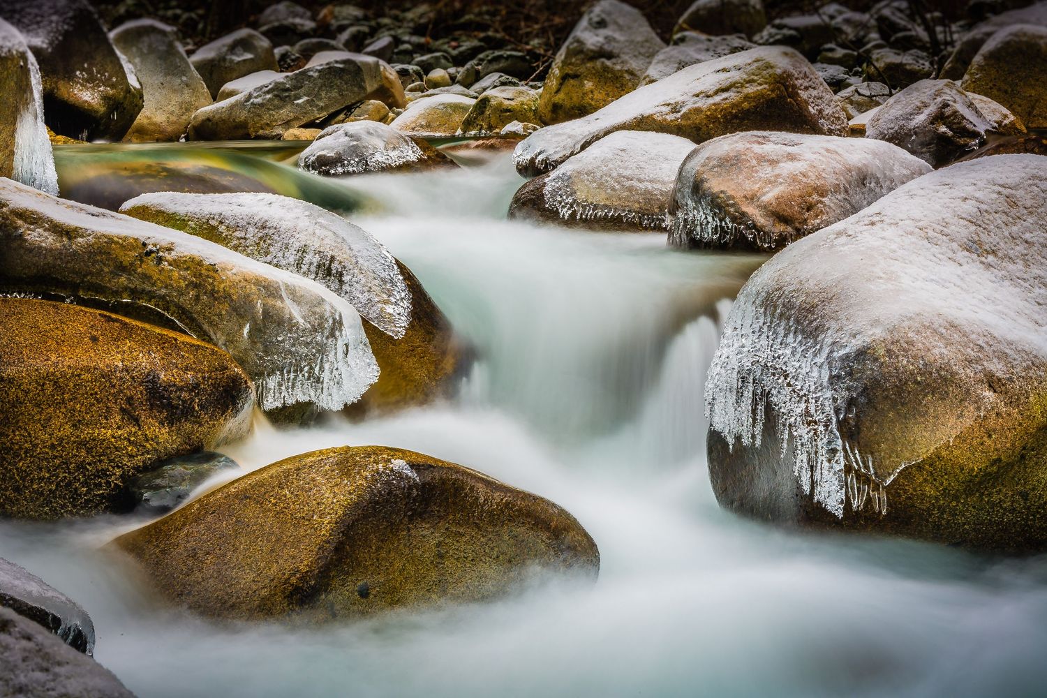 Lynn Creek, Lynn Canyon, North Vancouver