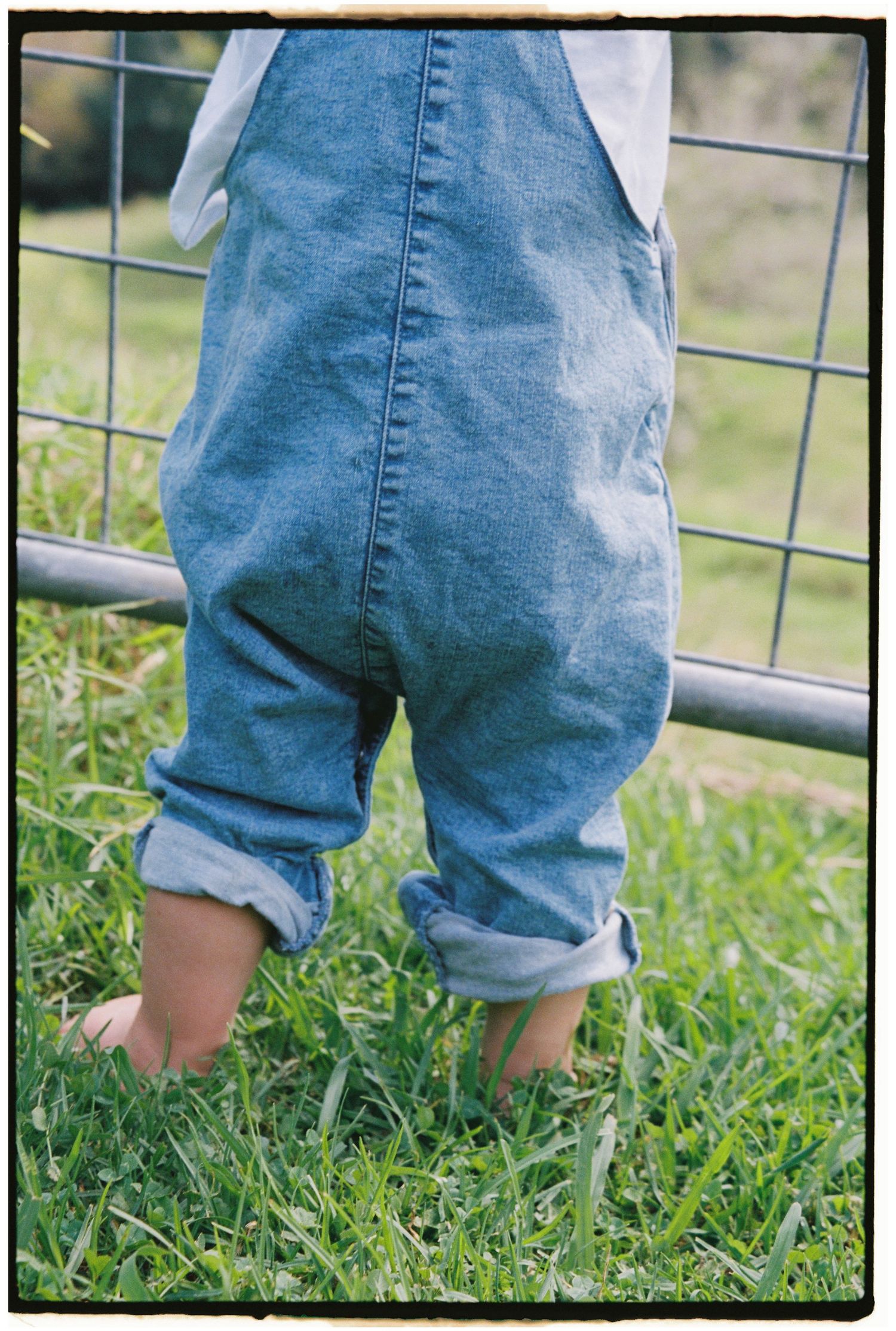 Close-up view of toddler legs in rolled-up denim jeans standing on grass.