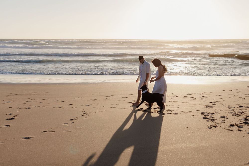 A couple walks their dog on a sandy beach at sunset casting long shadows on the sand.