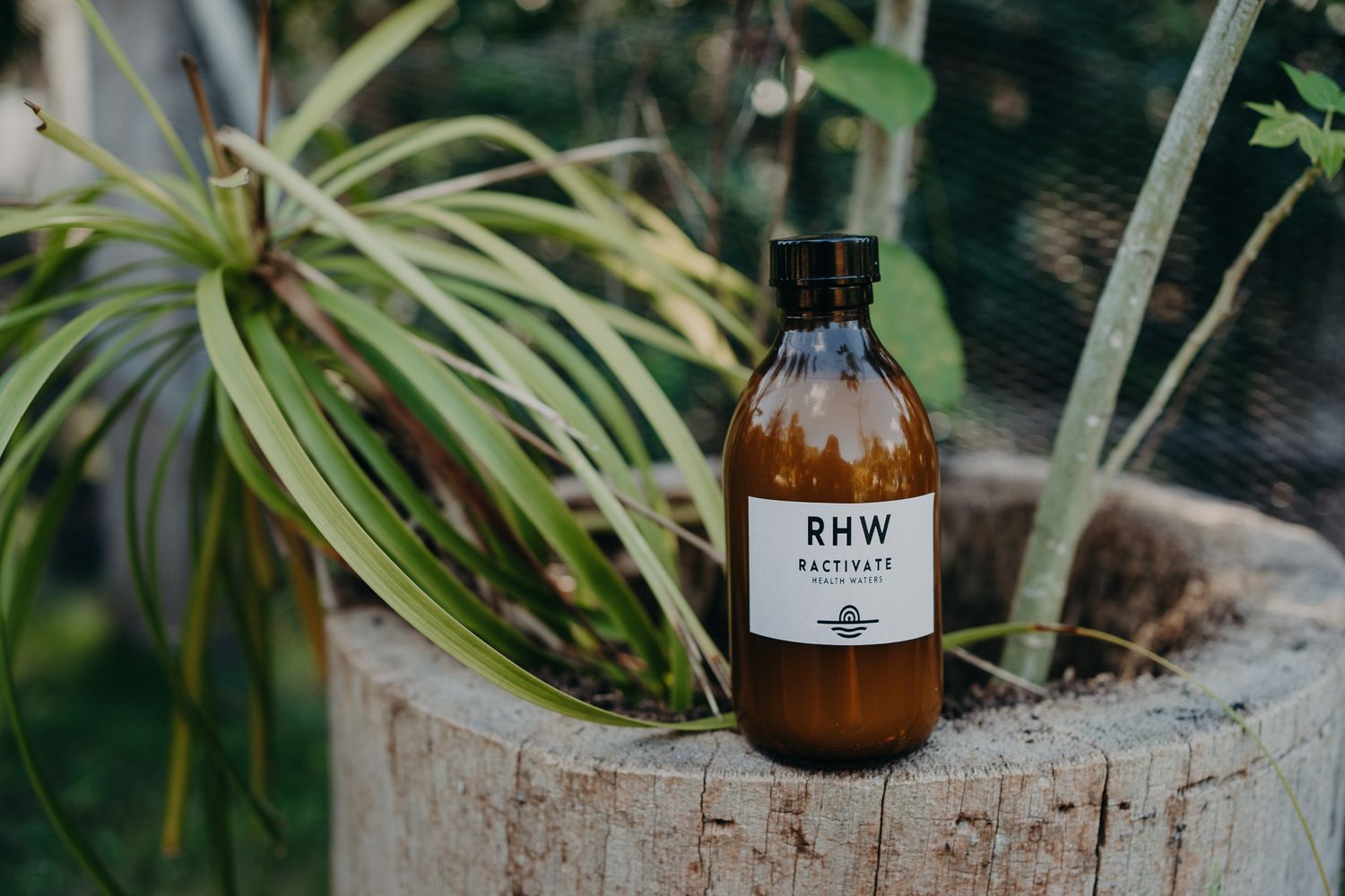 Brown glass bottle with RHW label sitting on wooden stump with tropical plants in background photoshoot in Puerto Morelos.