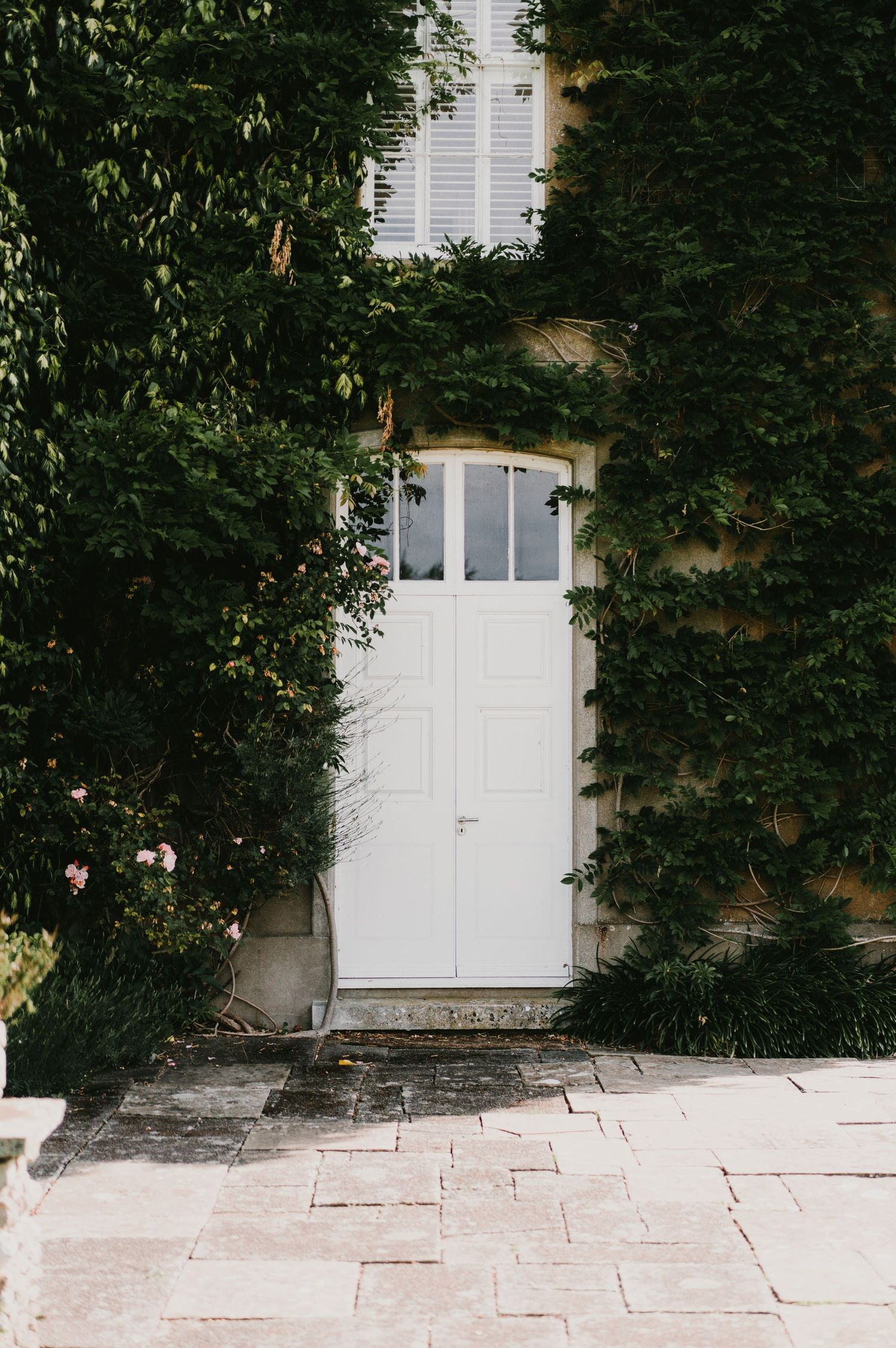 White wooden door framed by lush green vines and foliage on a stone facade.