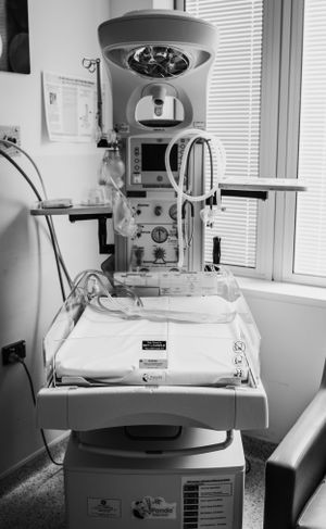 Birth photography