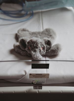 Birth photography
