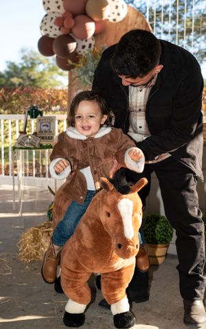 Playful scene with toy horse and western-themed party decorations.