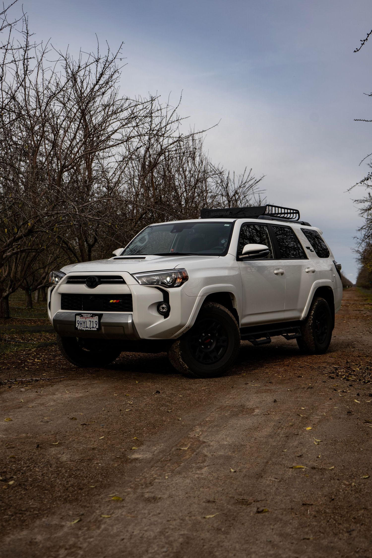 White Toyota 4Runner SUV parked on dirt path among bare winter trees.