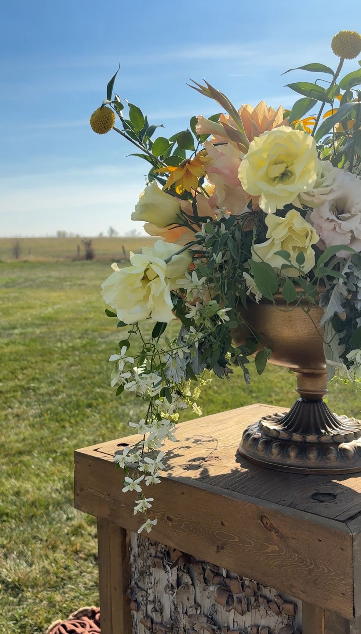 Early fall wedding doing content creation for Liz & Trent.