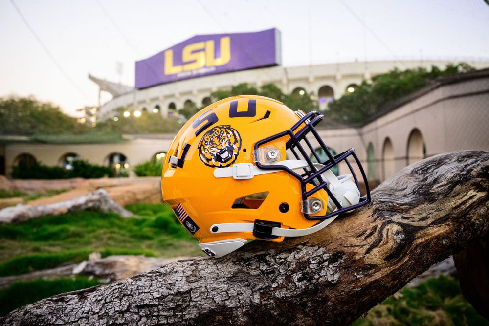 LSU Tigers football helmet sits on tree branch with stadium in background.