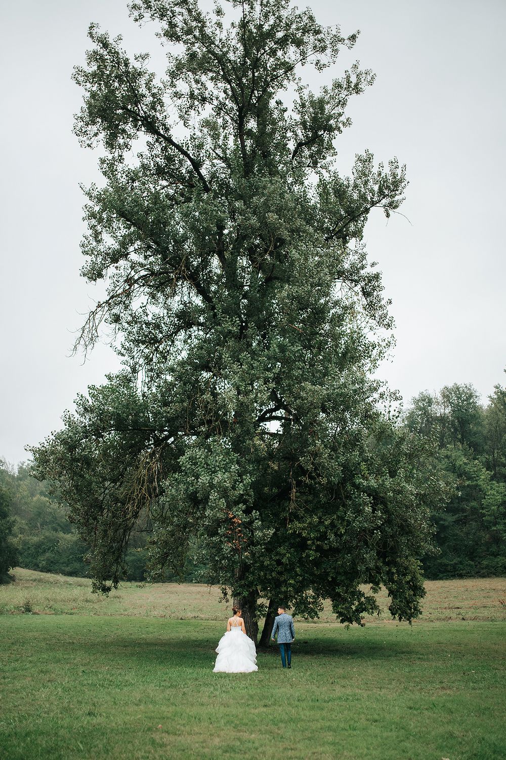Bride and groom holding hands walking toward a large tree in a green field on their wedding day.