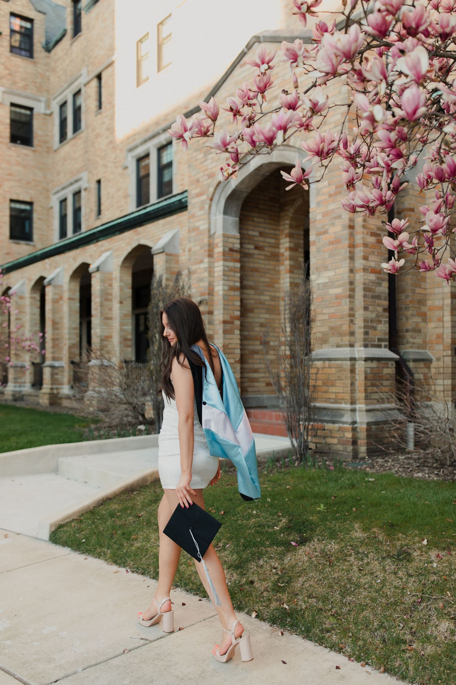 Spring graduation photo with blooming magnolia trees and collegiate architecture.