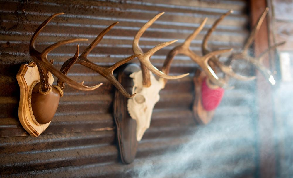 Collection of mounted hunting trophies on a textured wall.