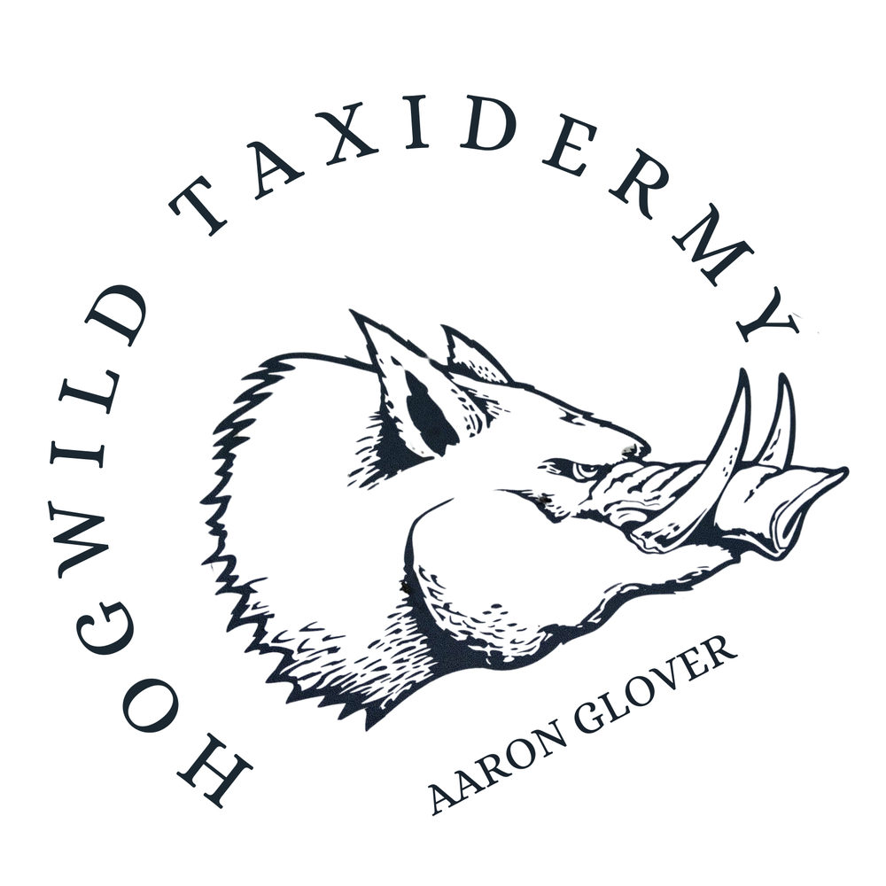 Taxidermy Logo