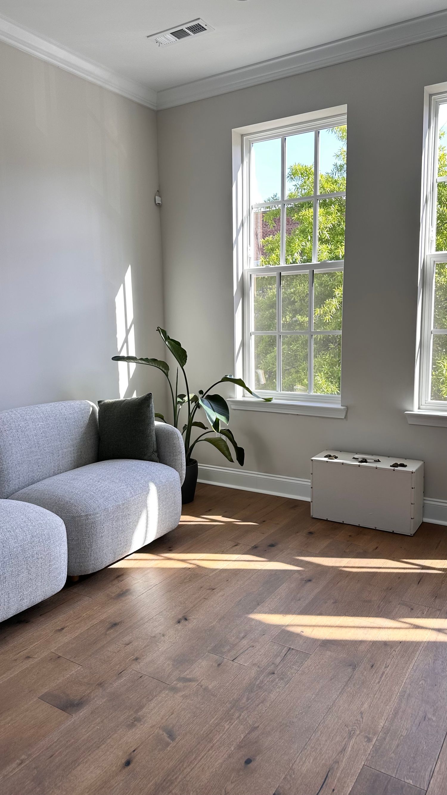 Modern portrait studio in Thompson’s Station featuring minimalist decor, soft tones, and a welcoming atmosphere for clients.