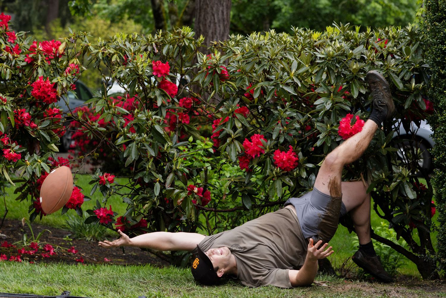 Person lying on grass with red azalea bushes in a garden setting.