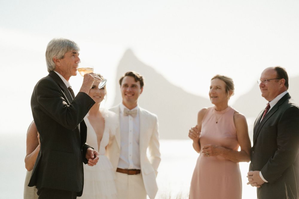 Wedding party gathered for a toast against a scenic mountain backdrop.