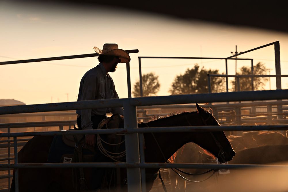 Western Photo- Rider Sorting Cattle