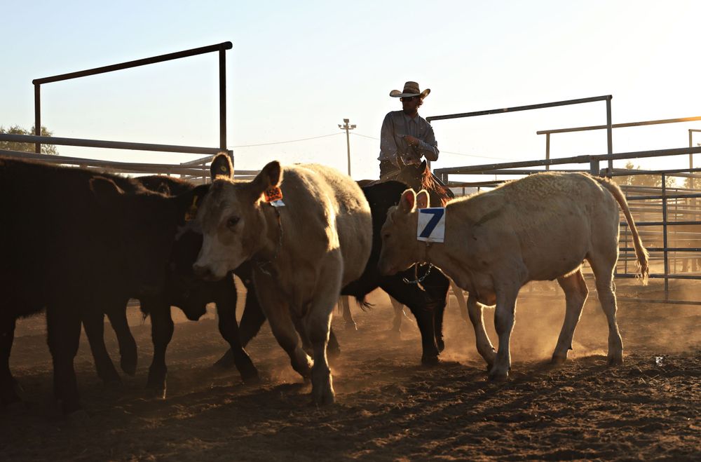 Ranch Rodeo Photo