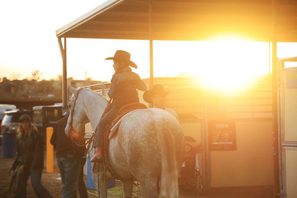 Rancho Rio Horse Sale Image