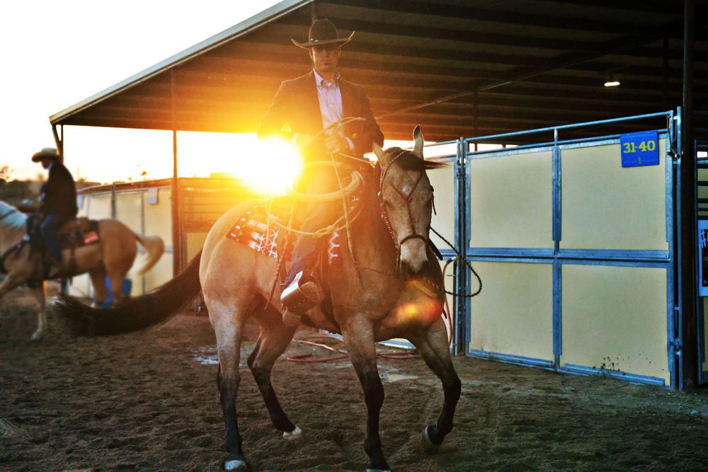 Rancho Rio Horse Sale Image