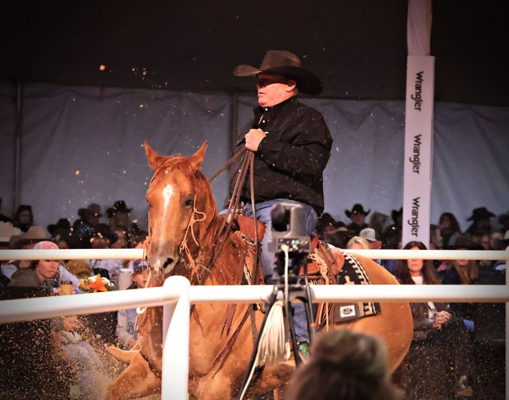 Rancho Rio Horse Sale- Wilson Cattle Company Sale Horse