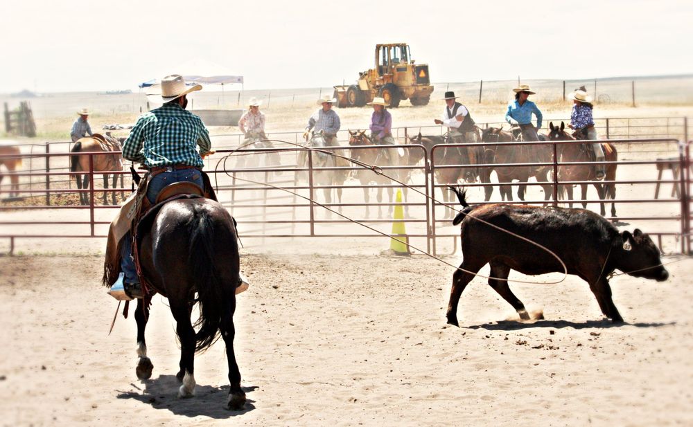 Ranch Roping Photo