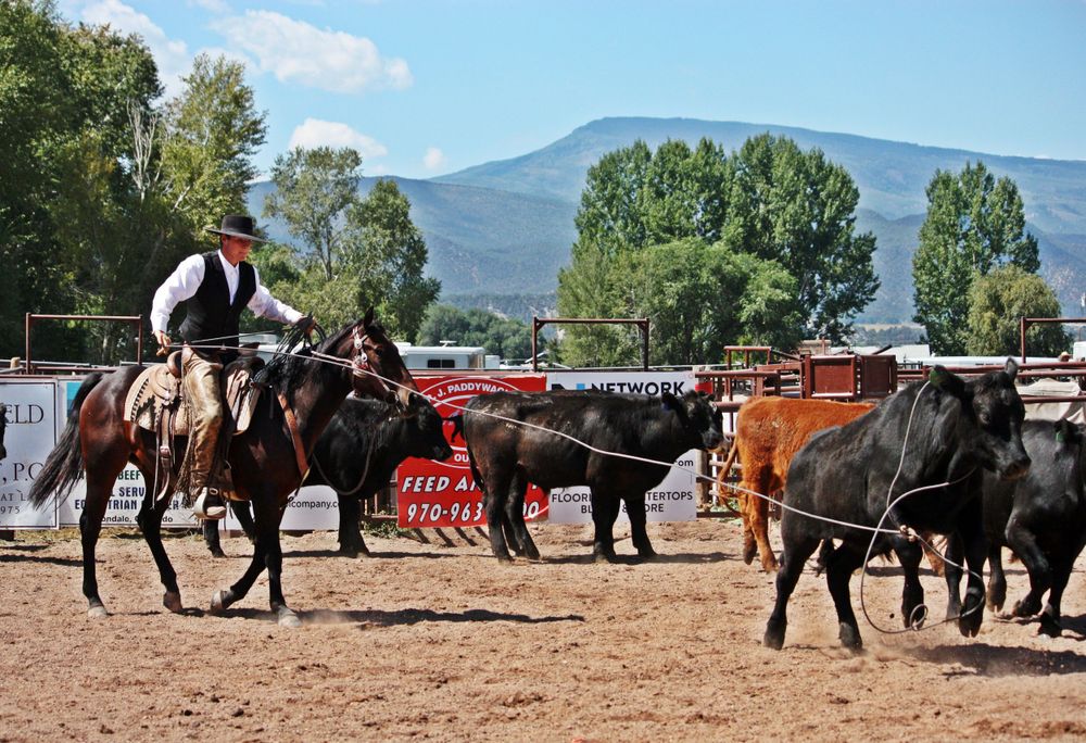Ranch Roping Photo