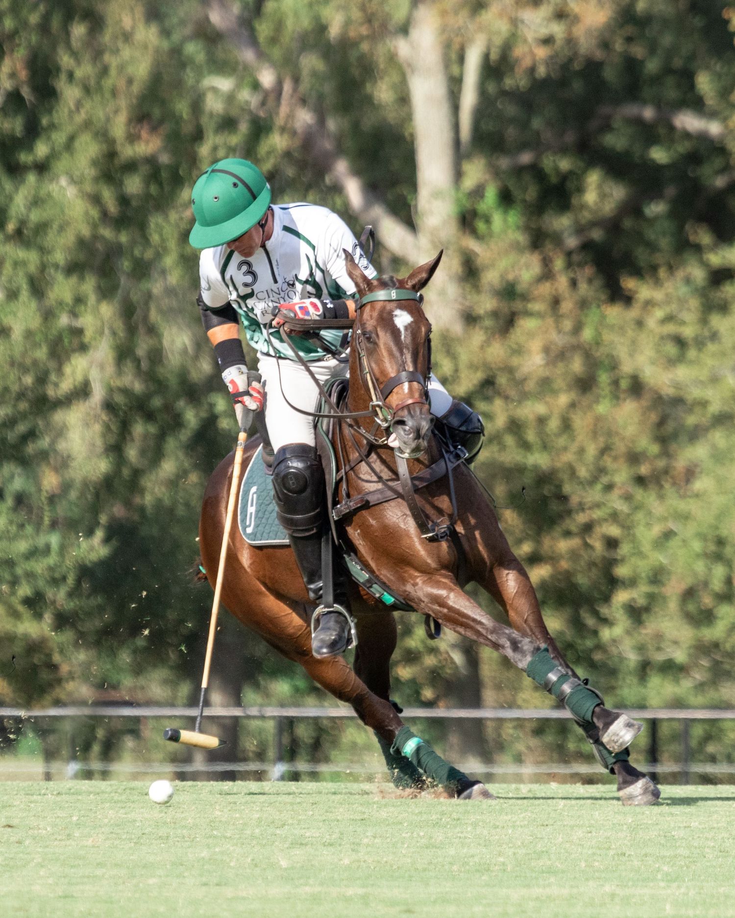 Polo