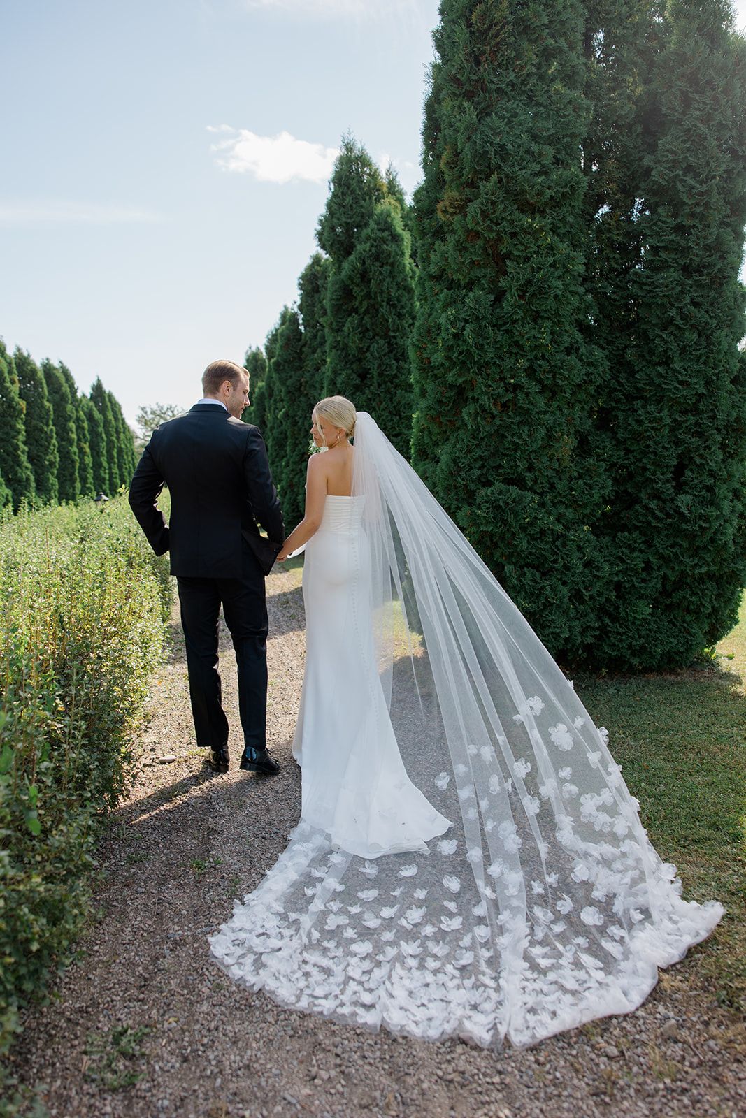 A couple in formal wedding attire stands among tall cypress trees with a flowing lace-trimmed veil trailing behind them.