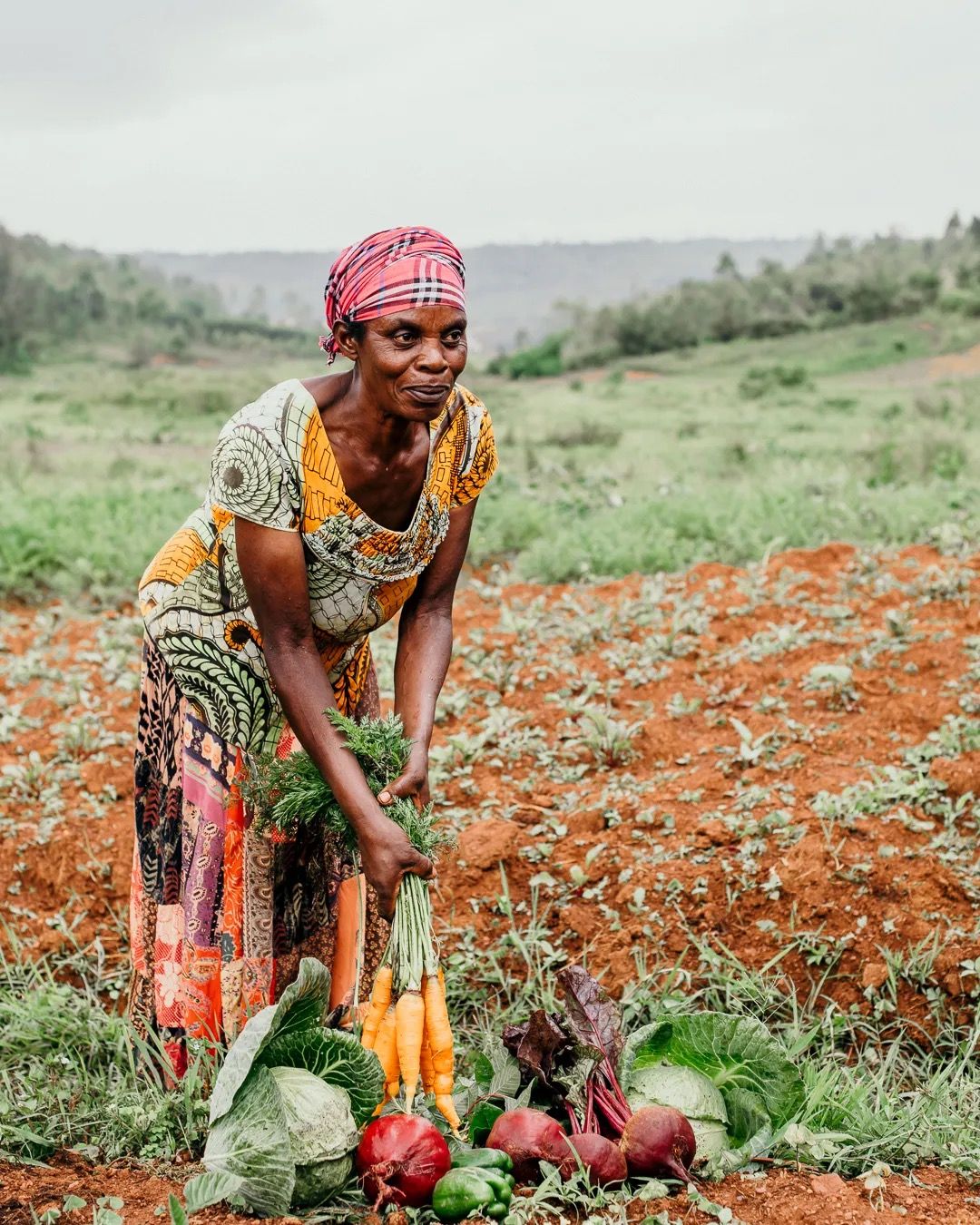 Female farmer gathers vibrant vegetables in a field, highlighting sustainable farming and community food growth.