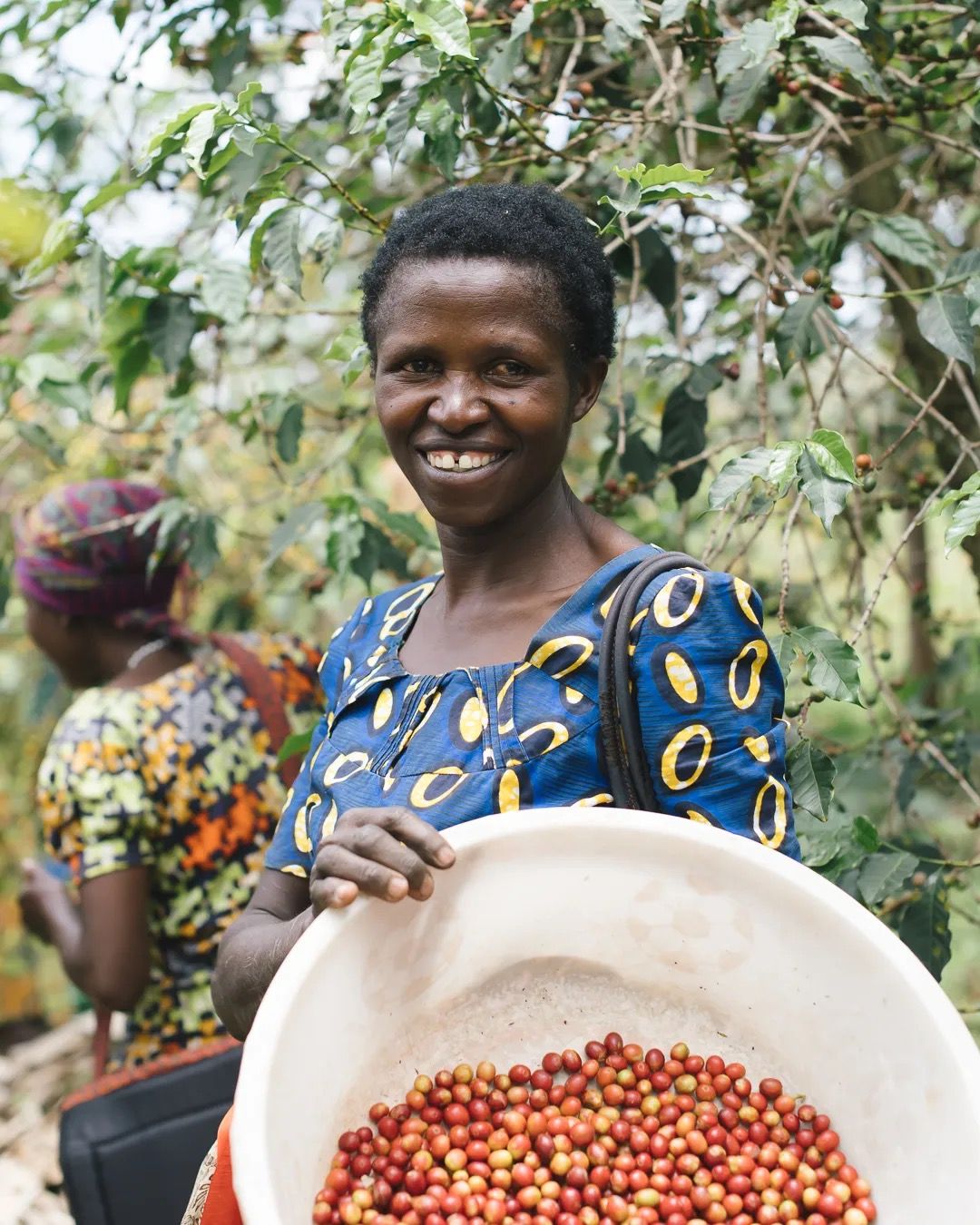 Woman smiling while holding a bowl filled with freshly harvested coffee cherries.
