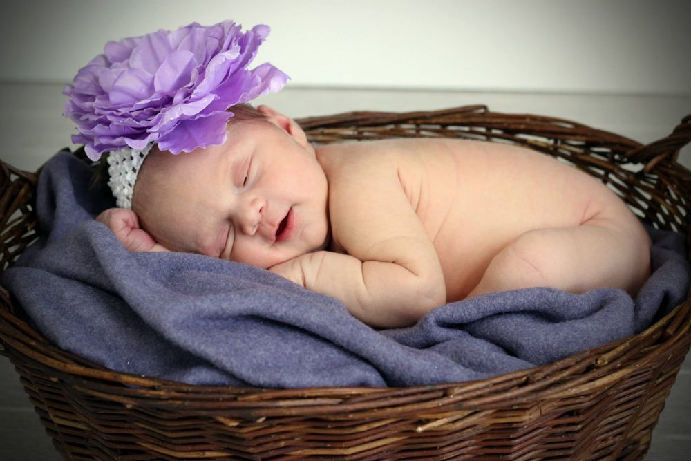 Newborn Portrait