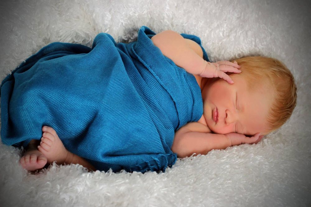 Newborn Portrait