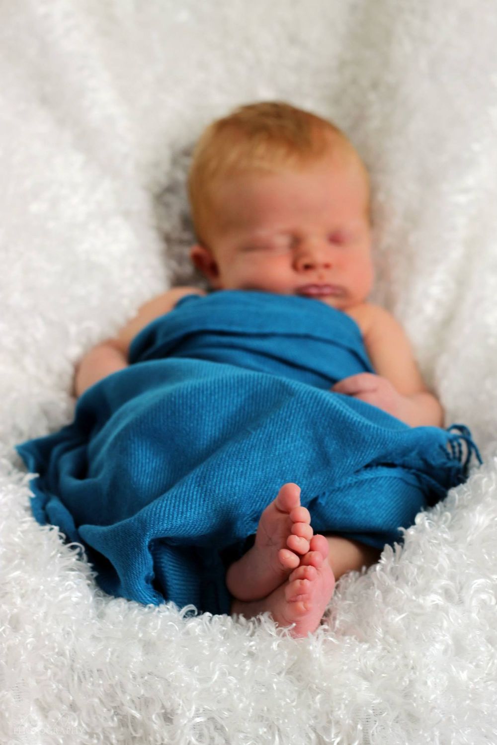 Newborn Portrait