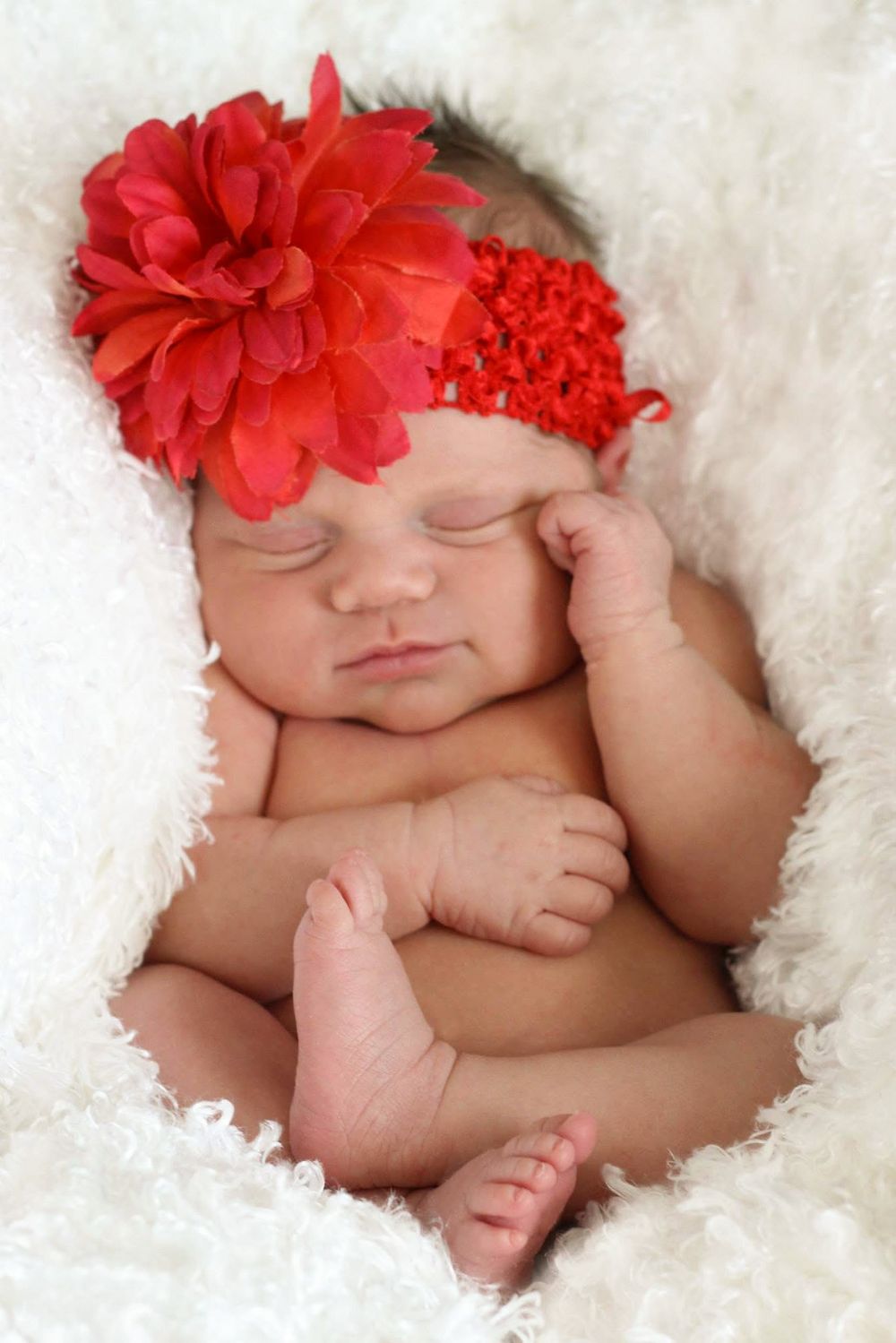 Newborn Portrait