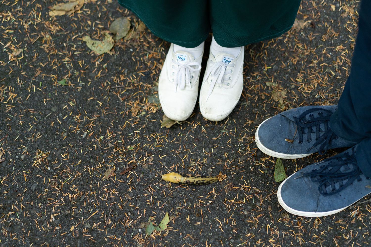 Couple's shoes next to a PNW slug captured during an engagement photoshoot by Savvy Photography - Seattle Wedding Photographer