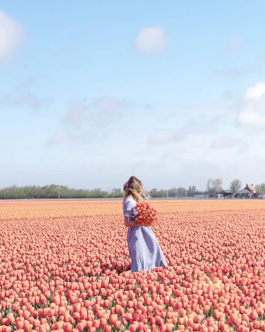 Girl standing in the middle of a bright tulip field under a clear blue sky.