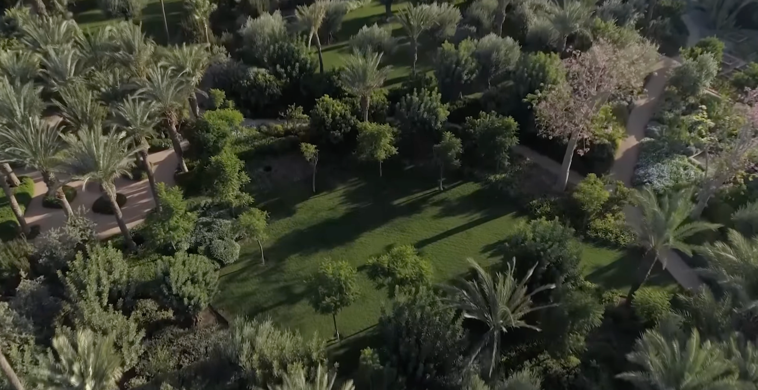 Aerial view of a lush tropical resort garden with palm trees and green landscaping surrounded by villas.