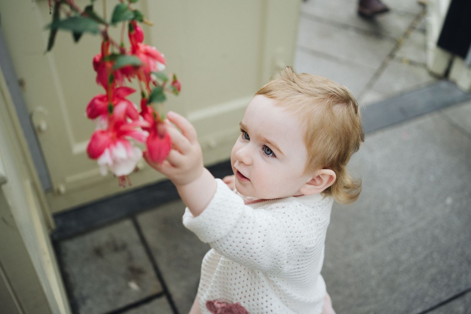 A small child in a white sweater reaches up to touch pink azalea flowers on a bush.