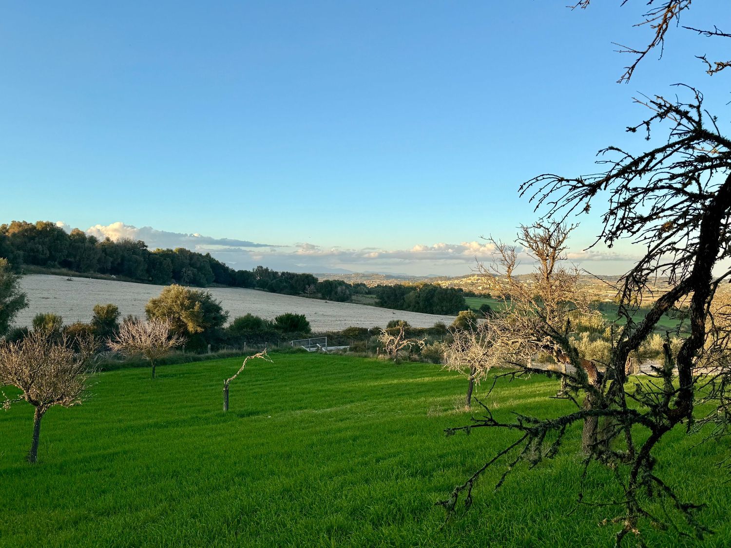 A panoramic view of rolling green hills with scattered trees and fence posts stretches across a rural landscape at sunset.