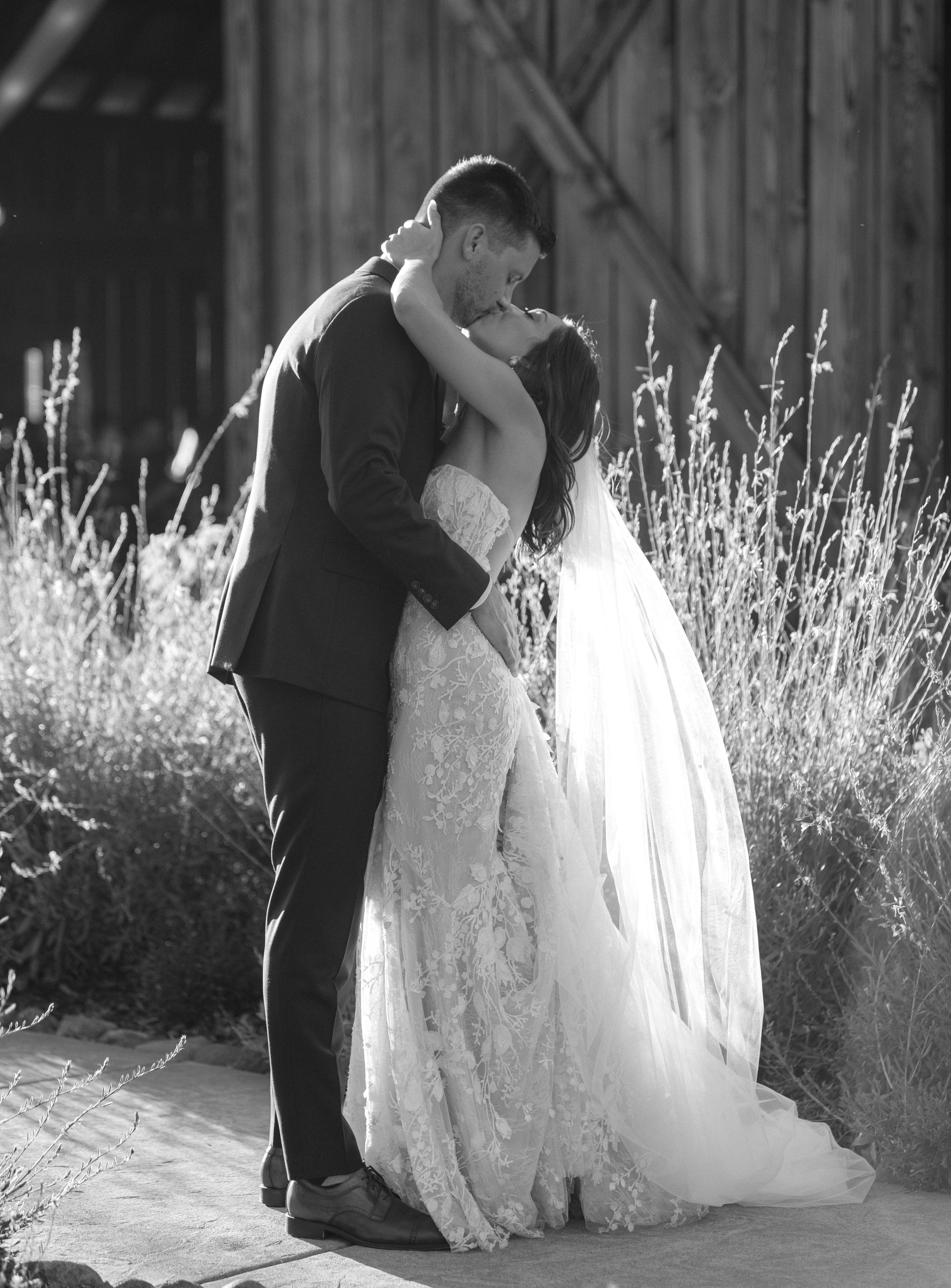 A romantic black and white photo series of a couple in wedding attire embracing in front of tall grasses.