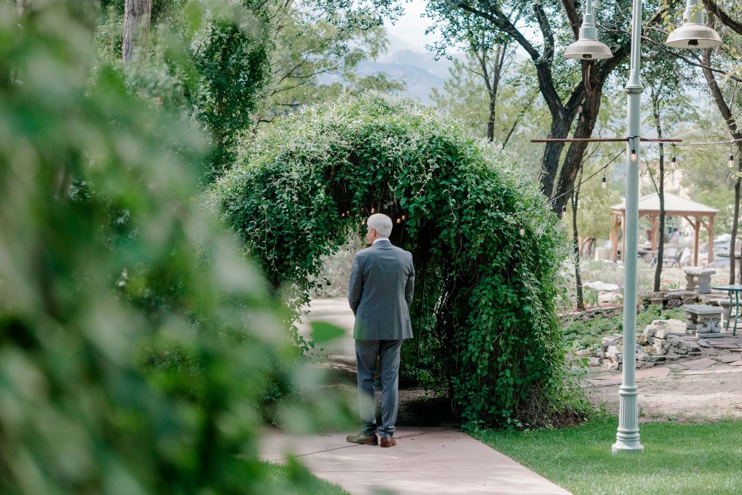 A series of connected park scenes showing people walking along a tree-lined path on a sunny day.