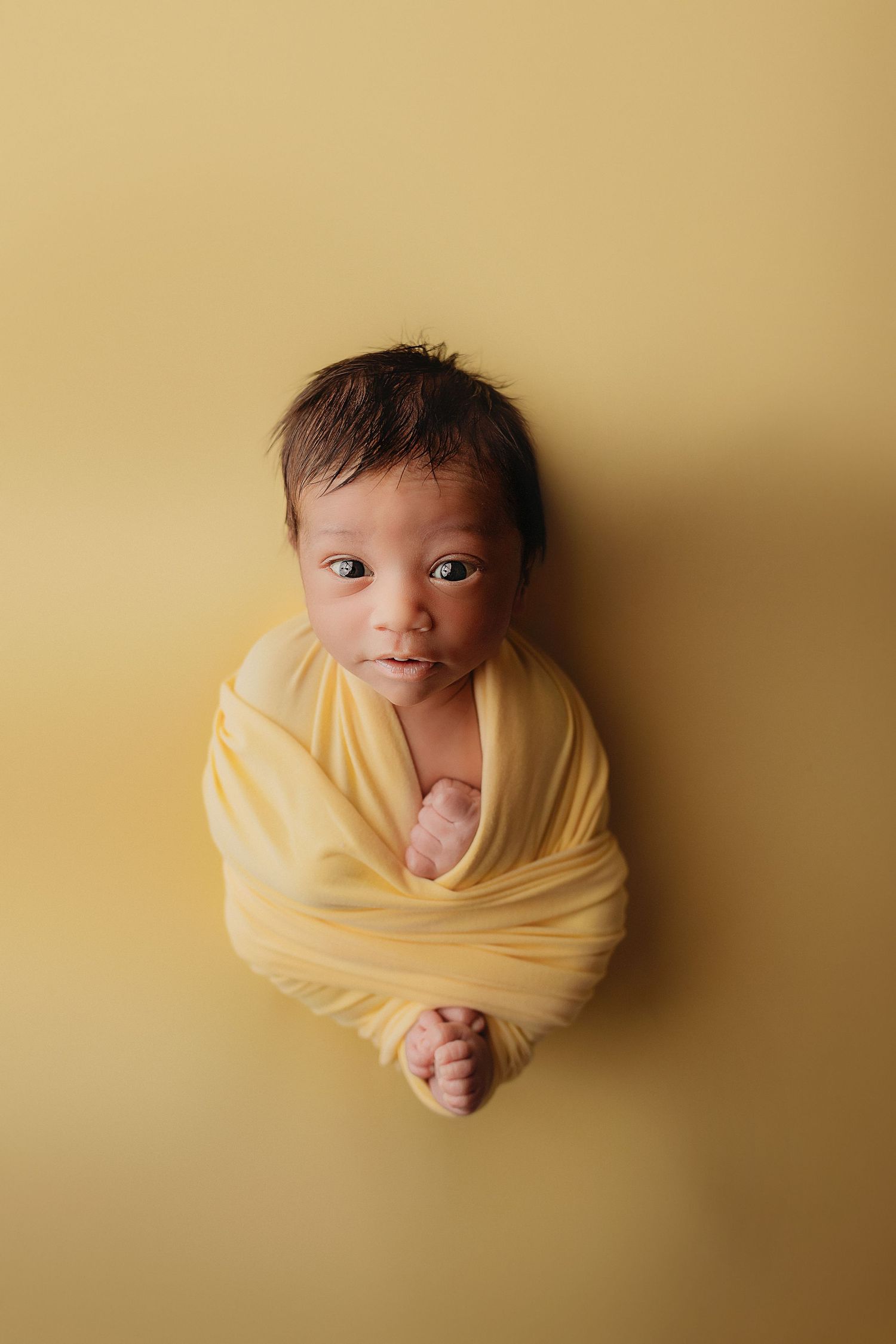 Professional photo of a newborn baby