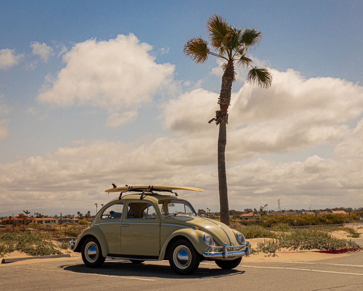Vintage VW Beetle with surfboard on roof parked near a palm tree on a sunny beach day.