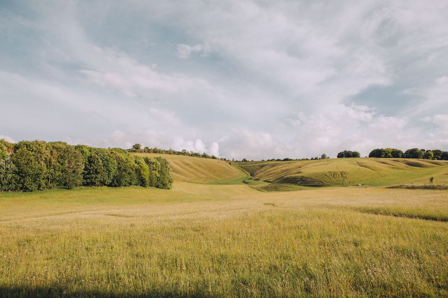 Rolling green hills with lush meadows, scattered trees, and a partly cloudy sky in a serene countryside landscape.