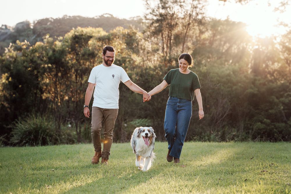 Couple holding hands walking with an Australian Shepherd dog on green grass in a sunny park photoshoot with a couple rouse hill